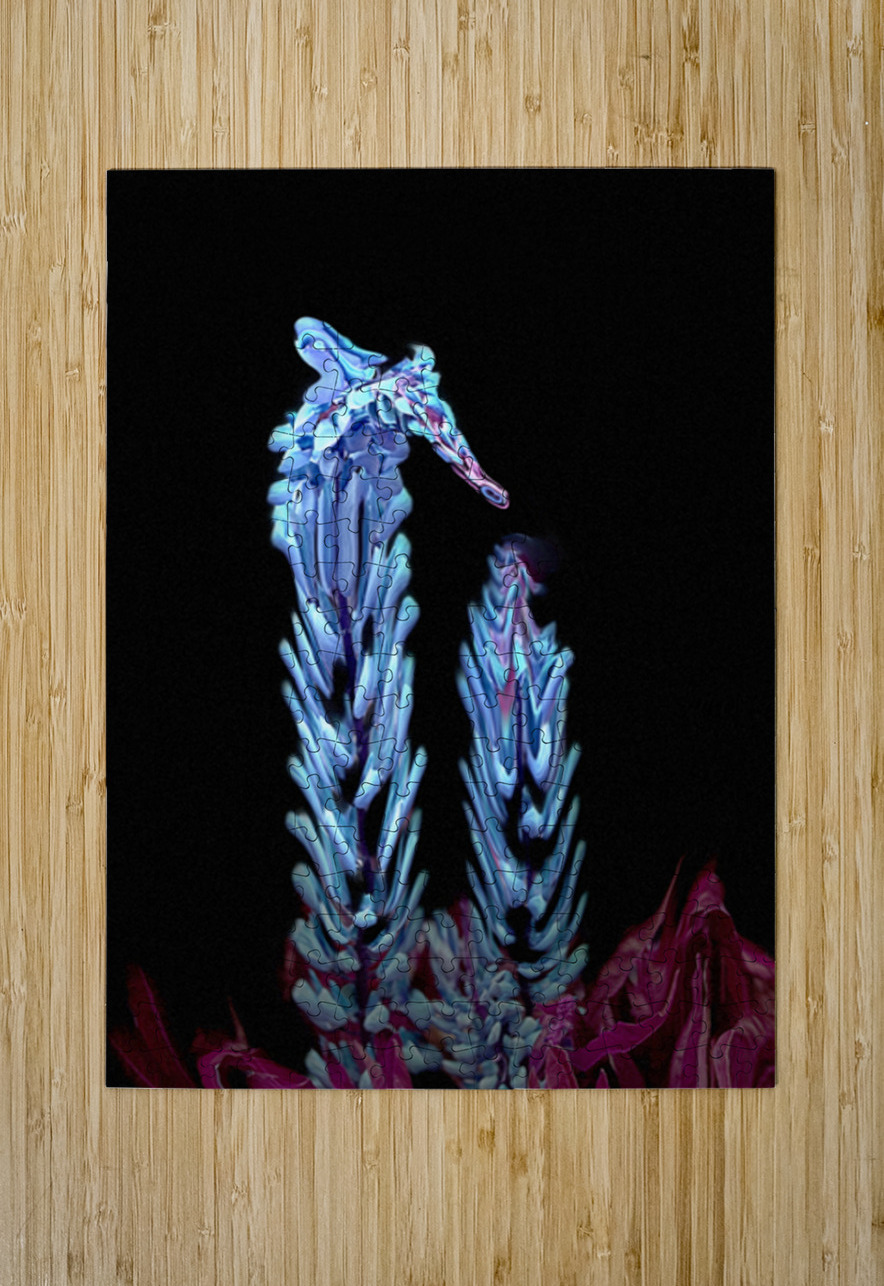 Mystical Sea Horse Tracy Currie ~ Digital Photo Artist Puzzle printing