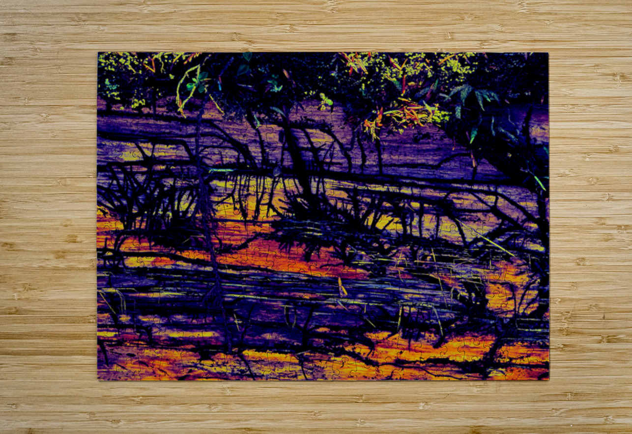 Beetle Bark Gallery Tracy Currie ~ Digital Photo Artist Puzzle printing