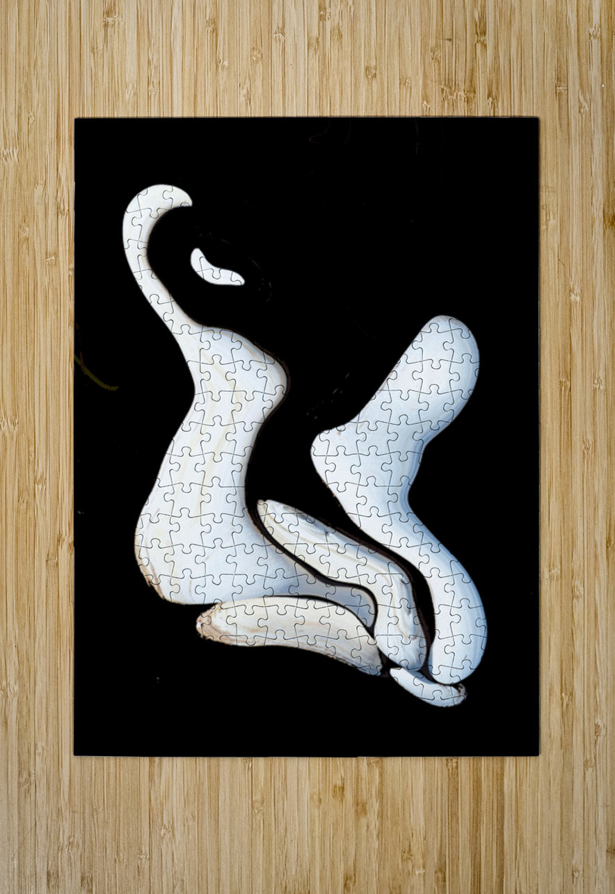 The Dancers Tracy Currie ~ Digital Photo Artist Puzzle printing