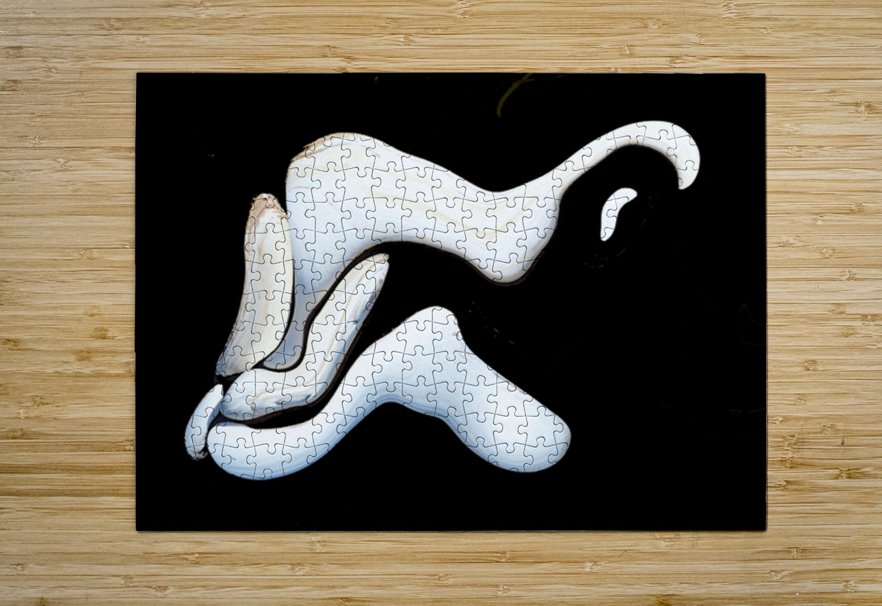 The Lovers Tracy Currie ~ Digital Photo Artist Puzzle printing