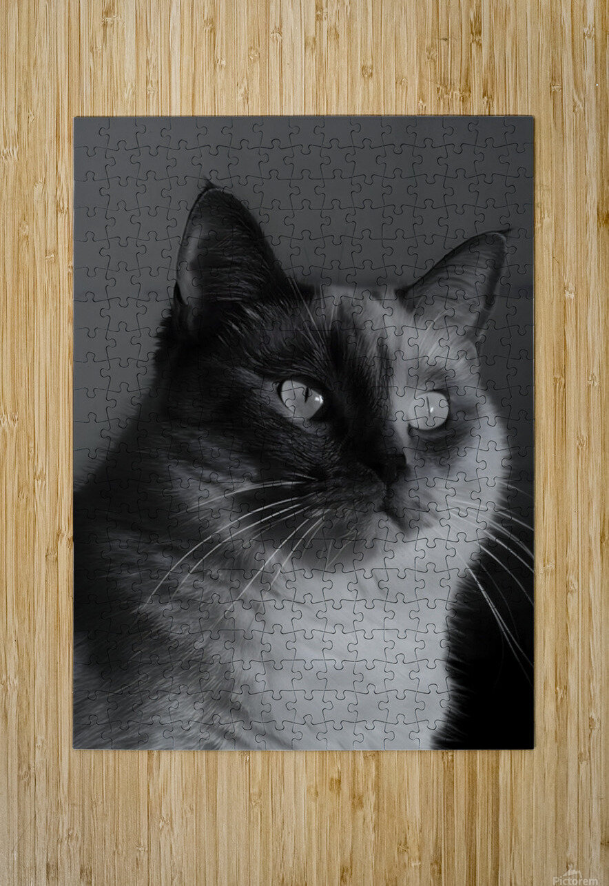 Monochrome Cat Utaamodern Puzzle printing