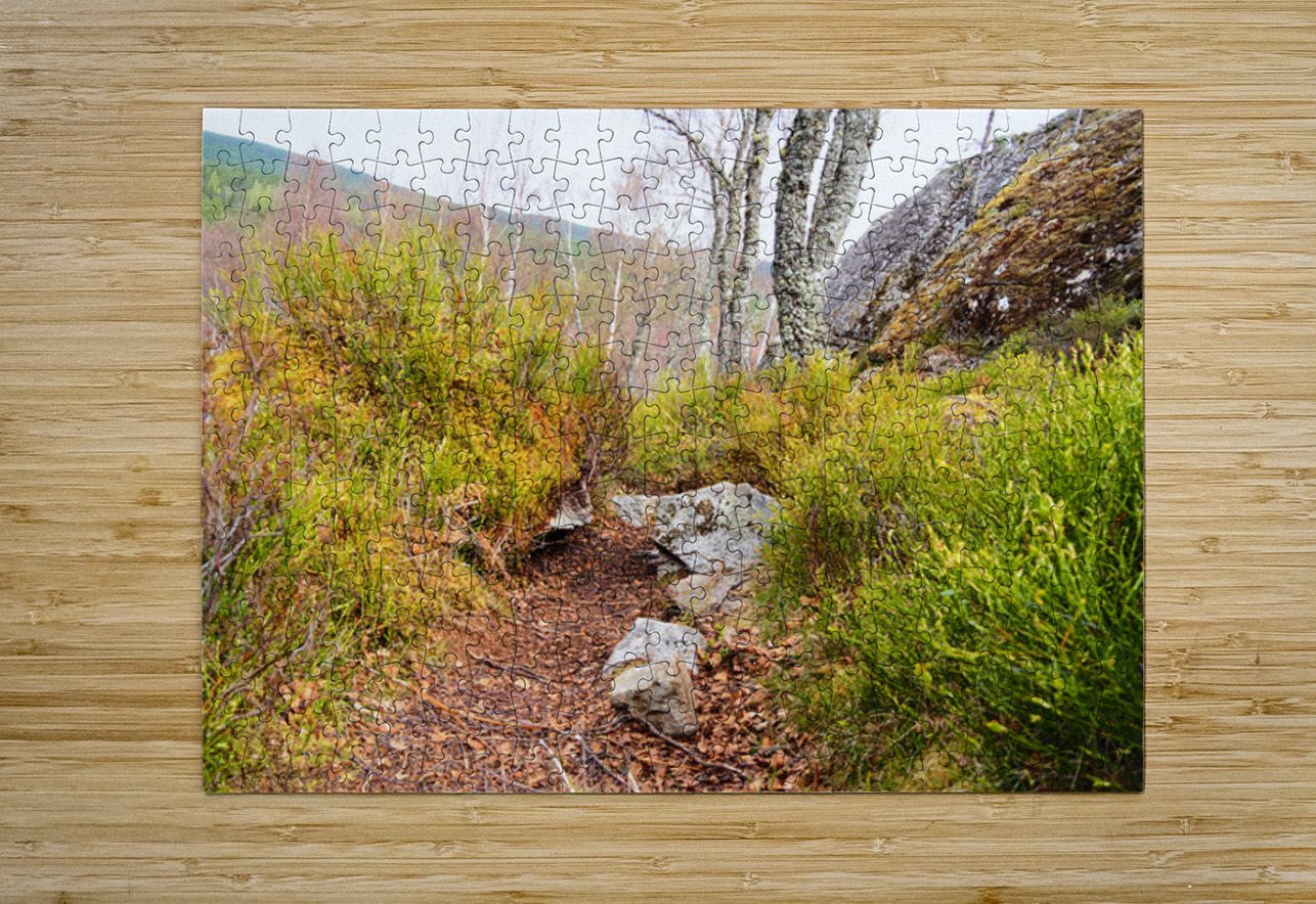 Spring Nature Trail Through The Scottish Highlands                                                                                                                    Catriona Roberts Nature Photography and Designs Puzzle printing