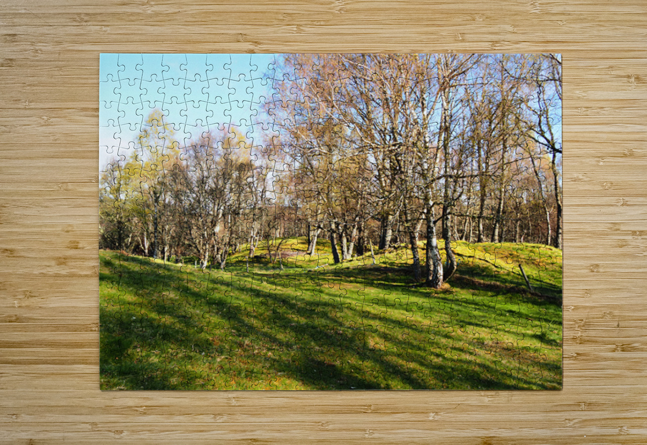 Spring Serenity in the Scottish Highlands                                                                                                                      Catriona Roberts Nature Photography and Designs Puzzle printing