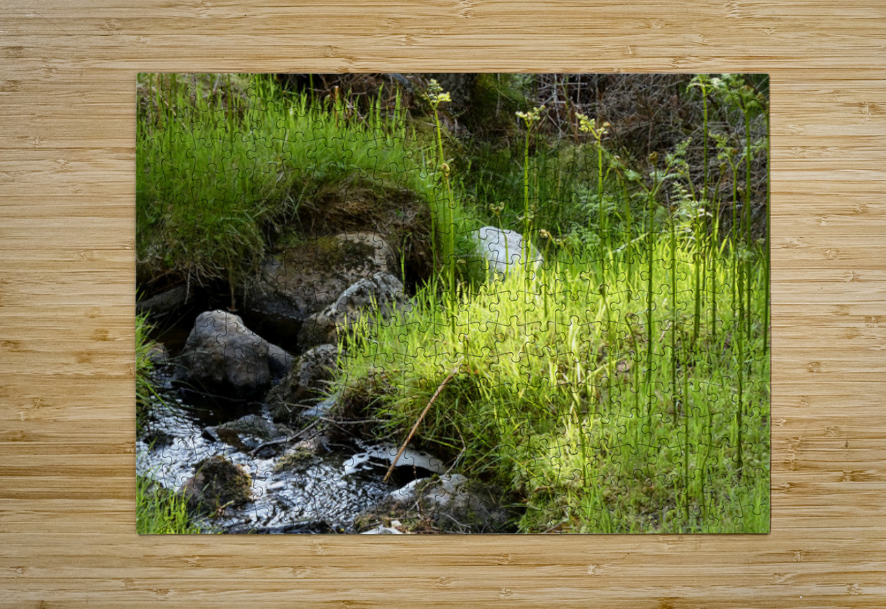 Scottish Highlands Summer Nature Walk Catriona Roberts Nature Photography and Designs Puzzle printing