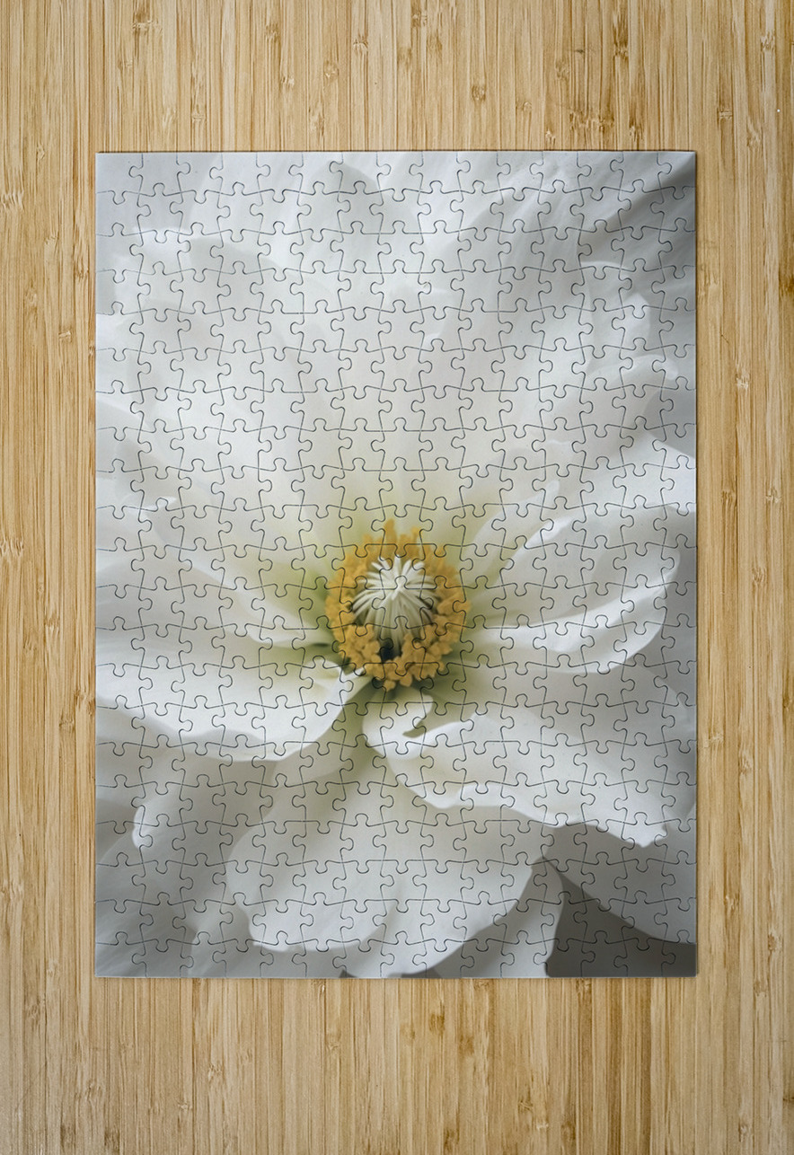 Twisted Florals  1 of 3 The Mabazza Foundation  Puzzle printing