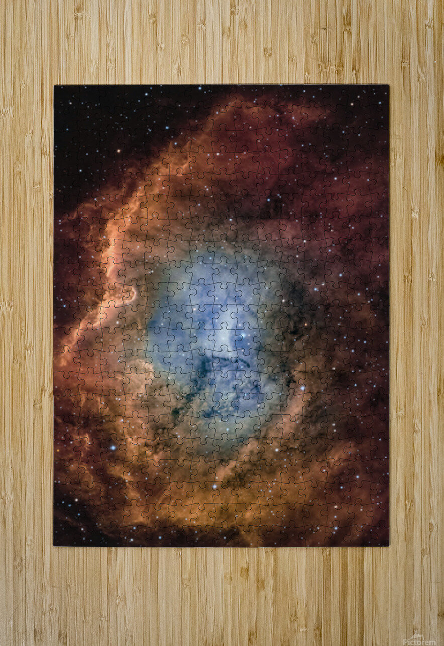 CED 116 Toozastro Puzzle printing