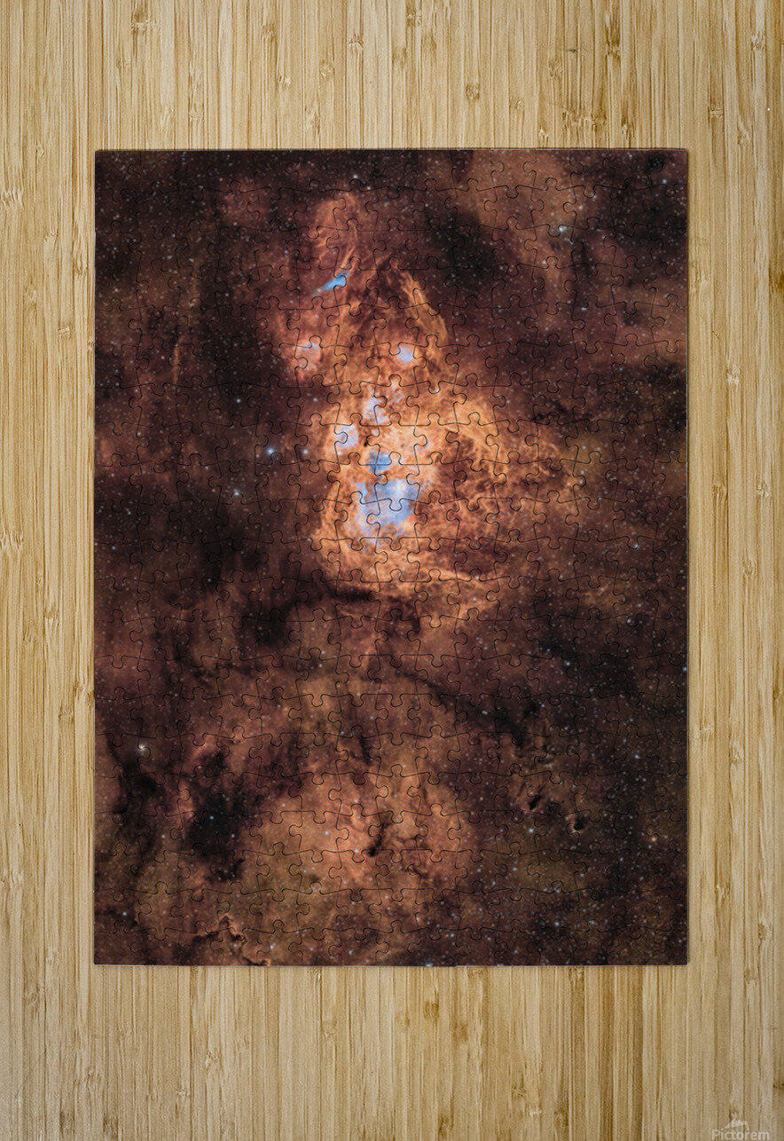 RCW131 Toozastro Puzzle printing