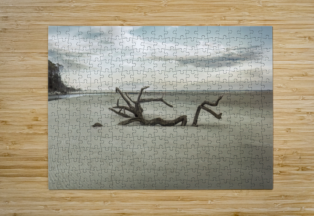 Beach Tree Relics Norma Brandsberg Photography Puzzle printing
