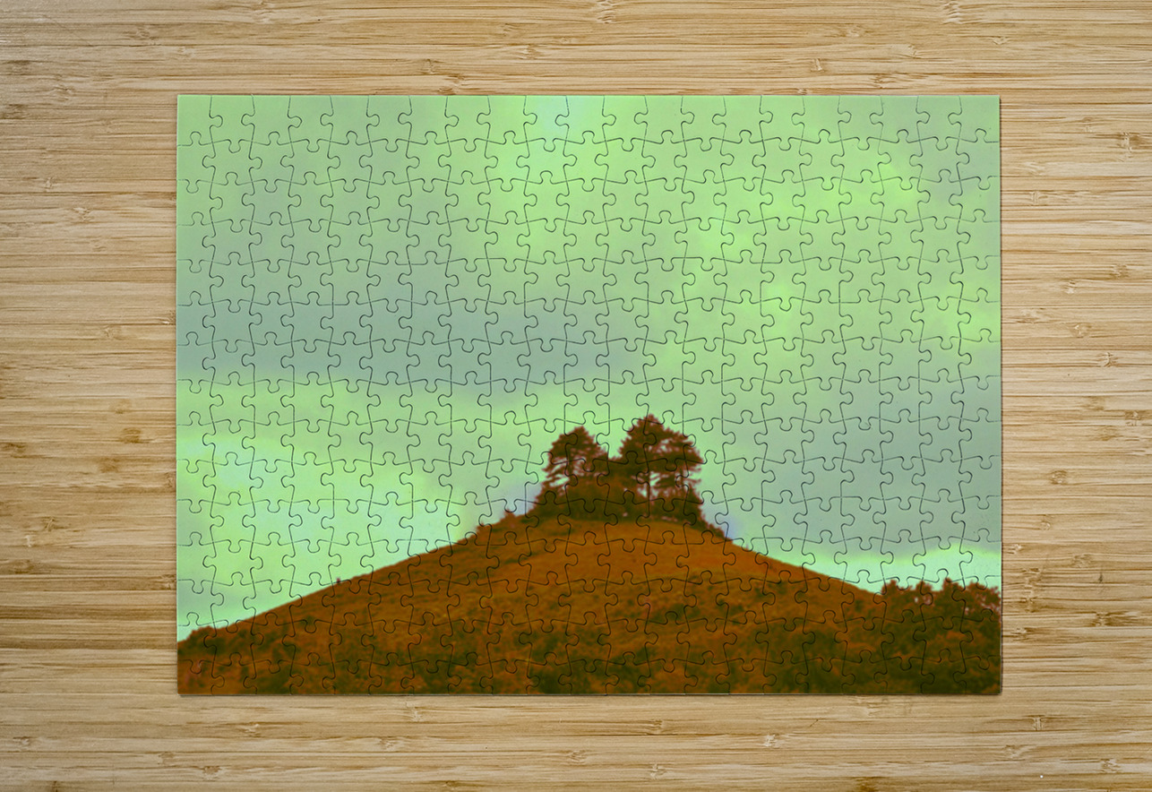 jpt 555ghh James Cooke Puzzle printing