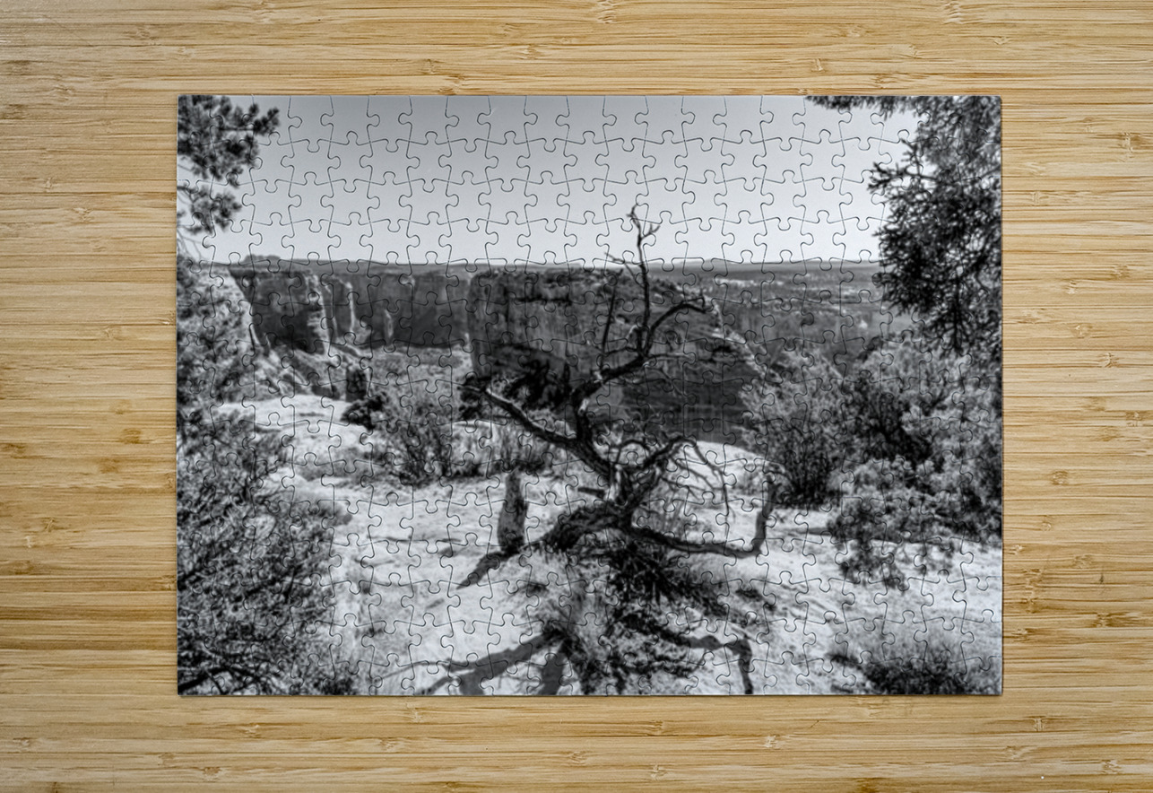 Crooked Tree At Spider Rock Grayscale Jennifer White Puzzle printing