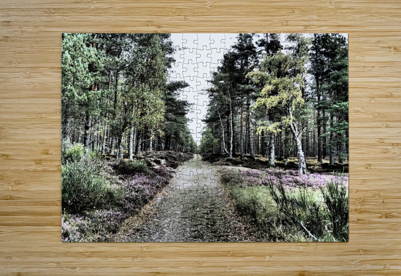 Scottish Highlands Serene  Birch Woodland Trail                                                                                                Catriona Roberts Nature Photography and Designs Puzzle printing