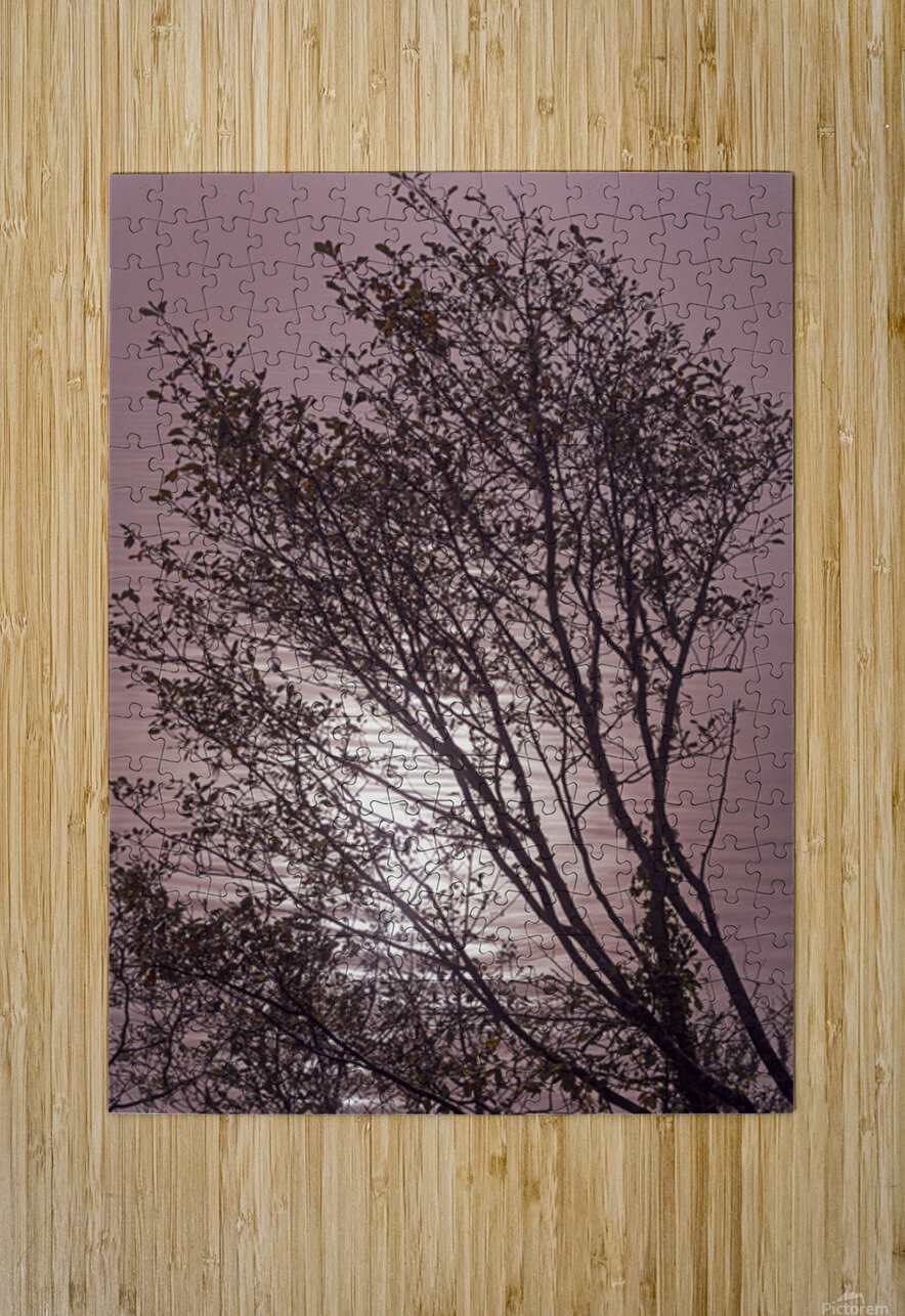 Silhouetted trees Ilwaco Harbor Lisa von Biela Puzzle printing