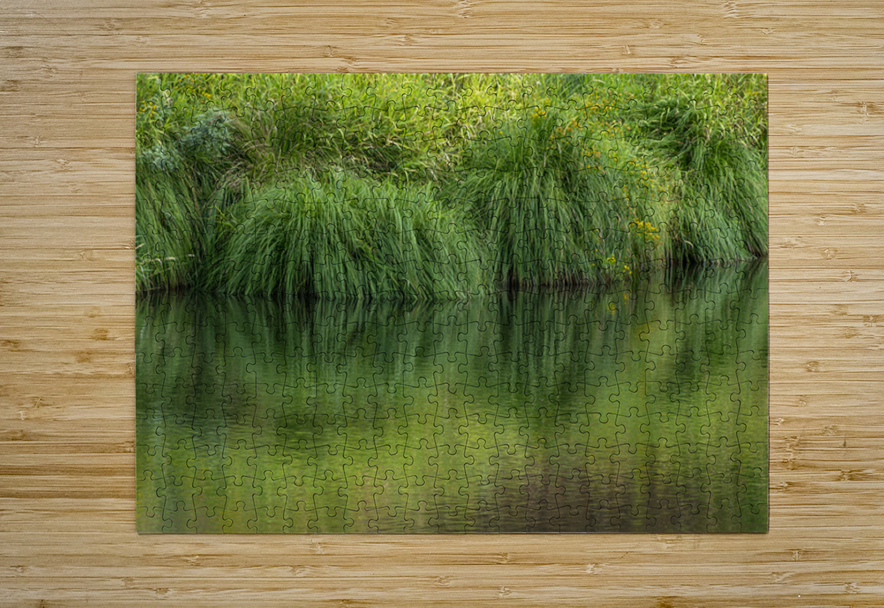 Dramatic green reflections of riverside plants Lisa von Biela Puzzle printing