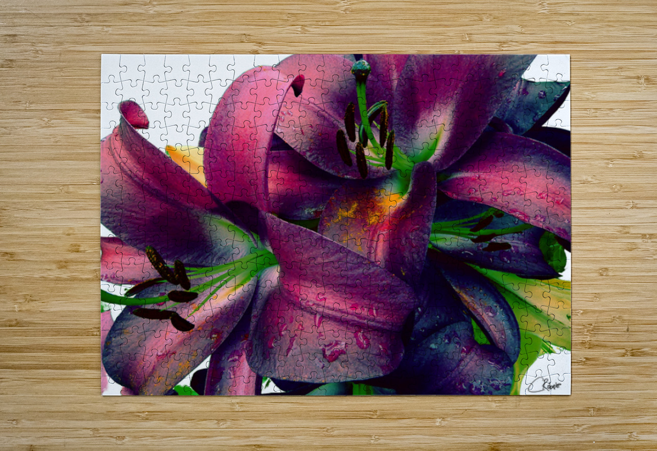 Rich Summer Lily Flowers Catriona Roberts Nature Photography and Designs Puzzle printing