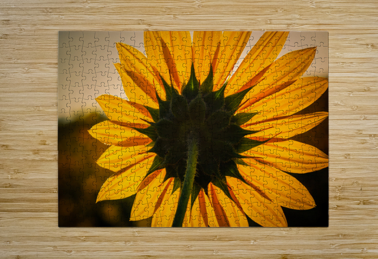 Solar Prairie Wind Imagery Puzzle printing