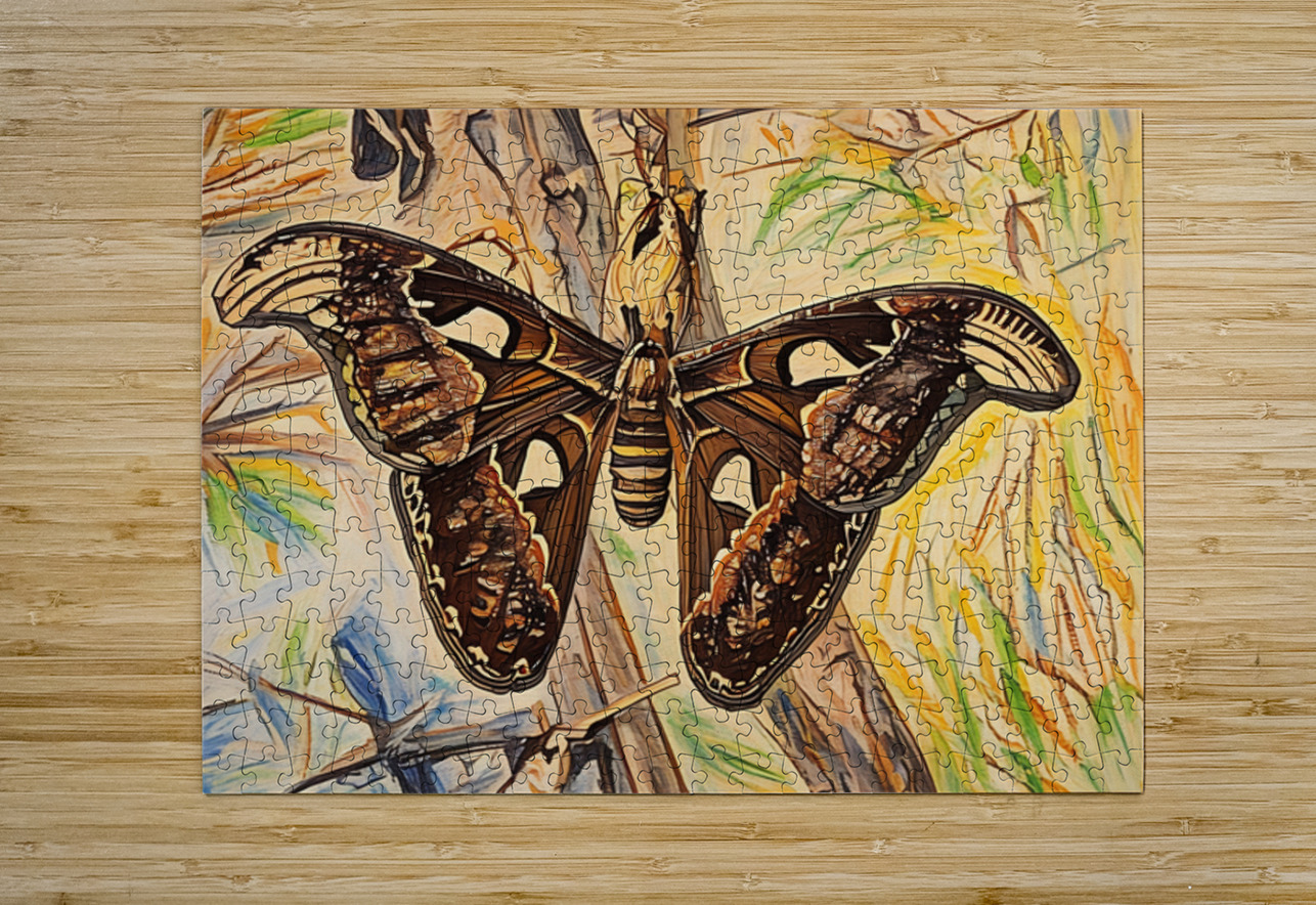 ArtXcl 194 atlas moth photo oil paint style Arte Fino Puzzle printing