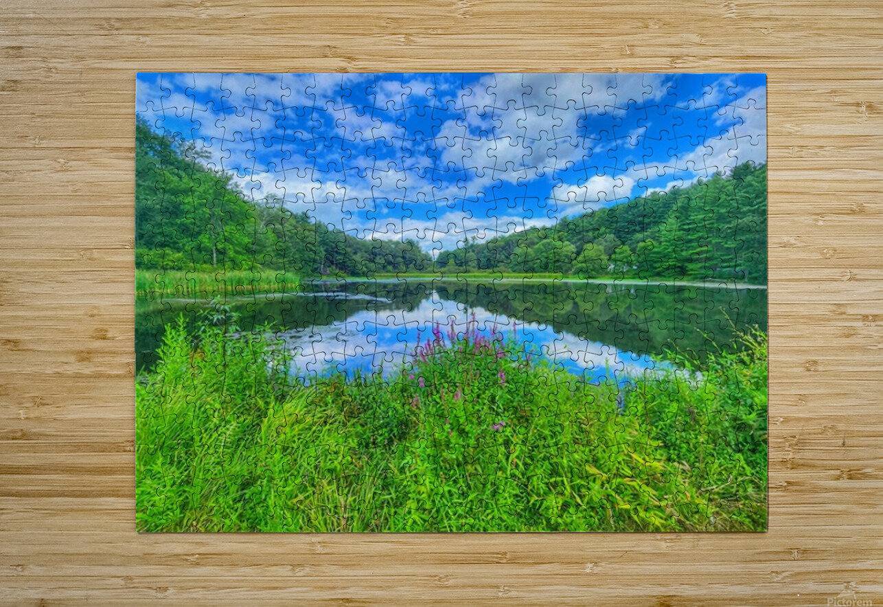08Aug Eastbury Pond Kevin Savage Puzzle printing