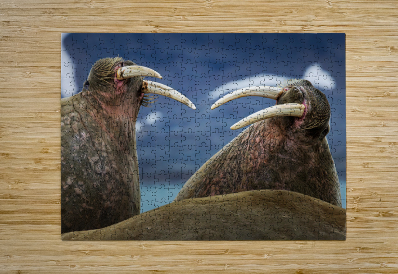 SIBLING QUARRELS Doug Sturgess Impression de puzzle