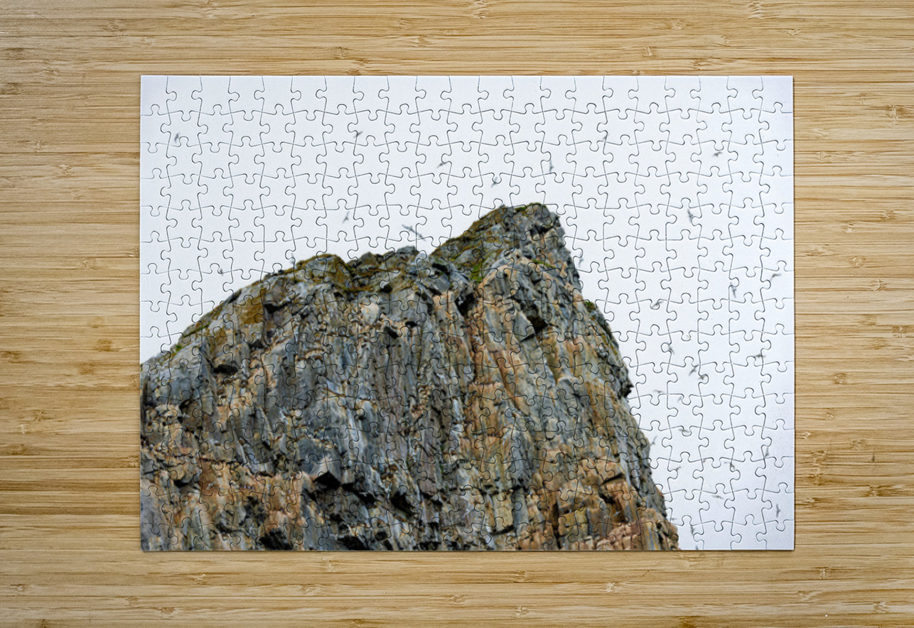 THE LIVING CLIFF Doug Sturgess Impression de puzzle