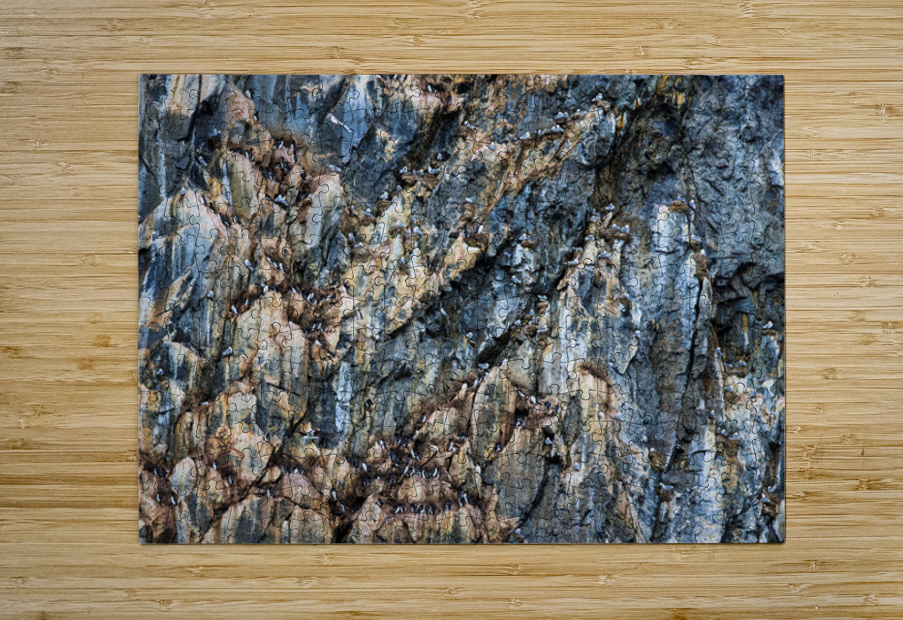 CLIFF COLONIES Doug Sturgess Puzzle printing