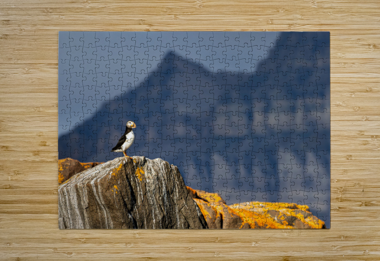 LAND OF THE PUFFIN Doug Sturgess Puzzle printing