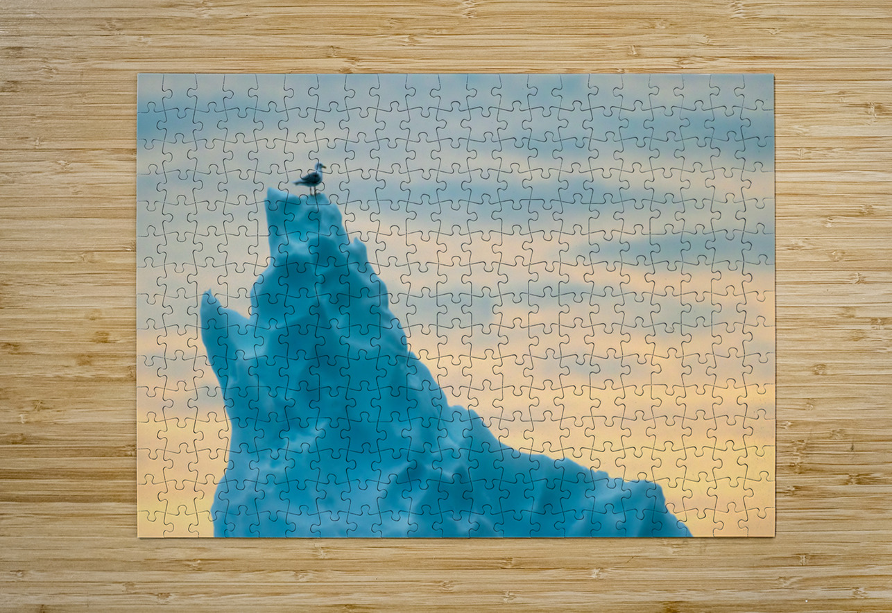 PERCHED Doug Sturgess Puzzle printing