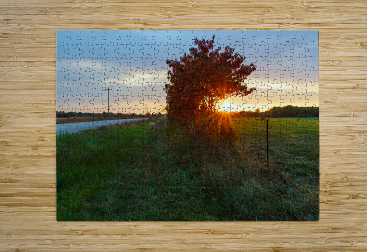 Red Sumac Tree Sunrise Countryside Jennifer White Puzzle printing