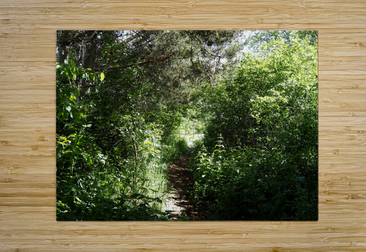 Scottish Highlands Sun Kissed Nature Trail                                                                                                                      Catriona Roberts Nature Photography and Designs Puzzle printing