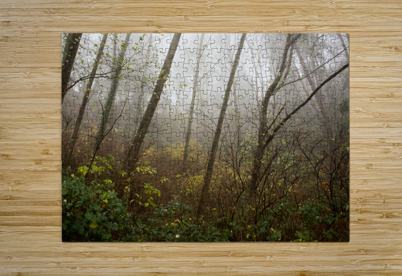 The Enchanted Forest Marilaine Delisle Puzzle printing