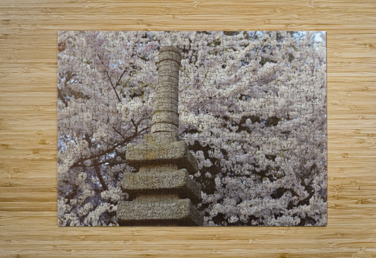 Cherry Blossom Statue VMC Photography Puzzle printing