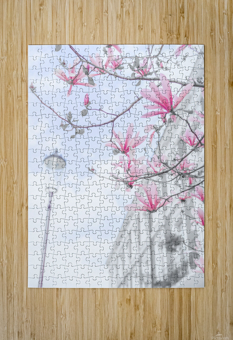 Magnolia flowers Assaf Frank Puzzle printing
