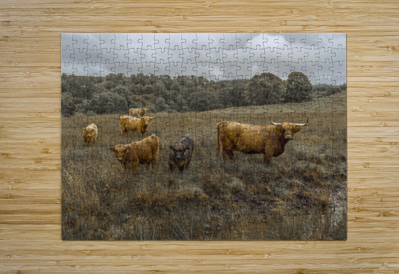 Highland Cows Assaf Frank Puzzle printing