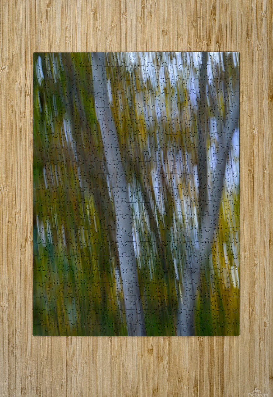 Birch Trees Autumn Michelle K Wood Puzzle printing