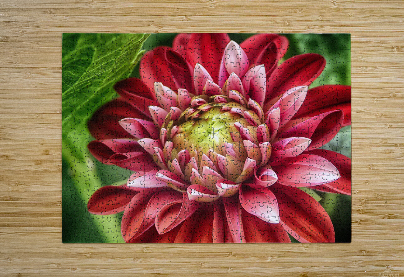 the hidden Eugene Rosenthal Puzzle printing