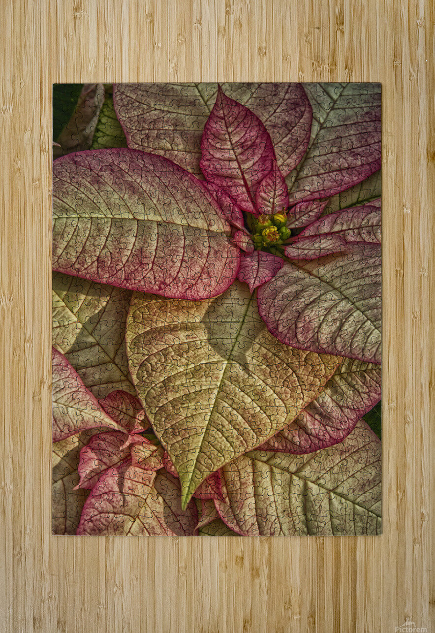 plant 3 Eugene Rosenthal Puzzle printing