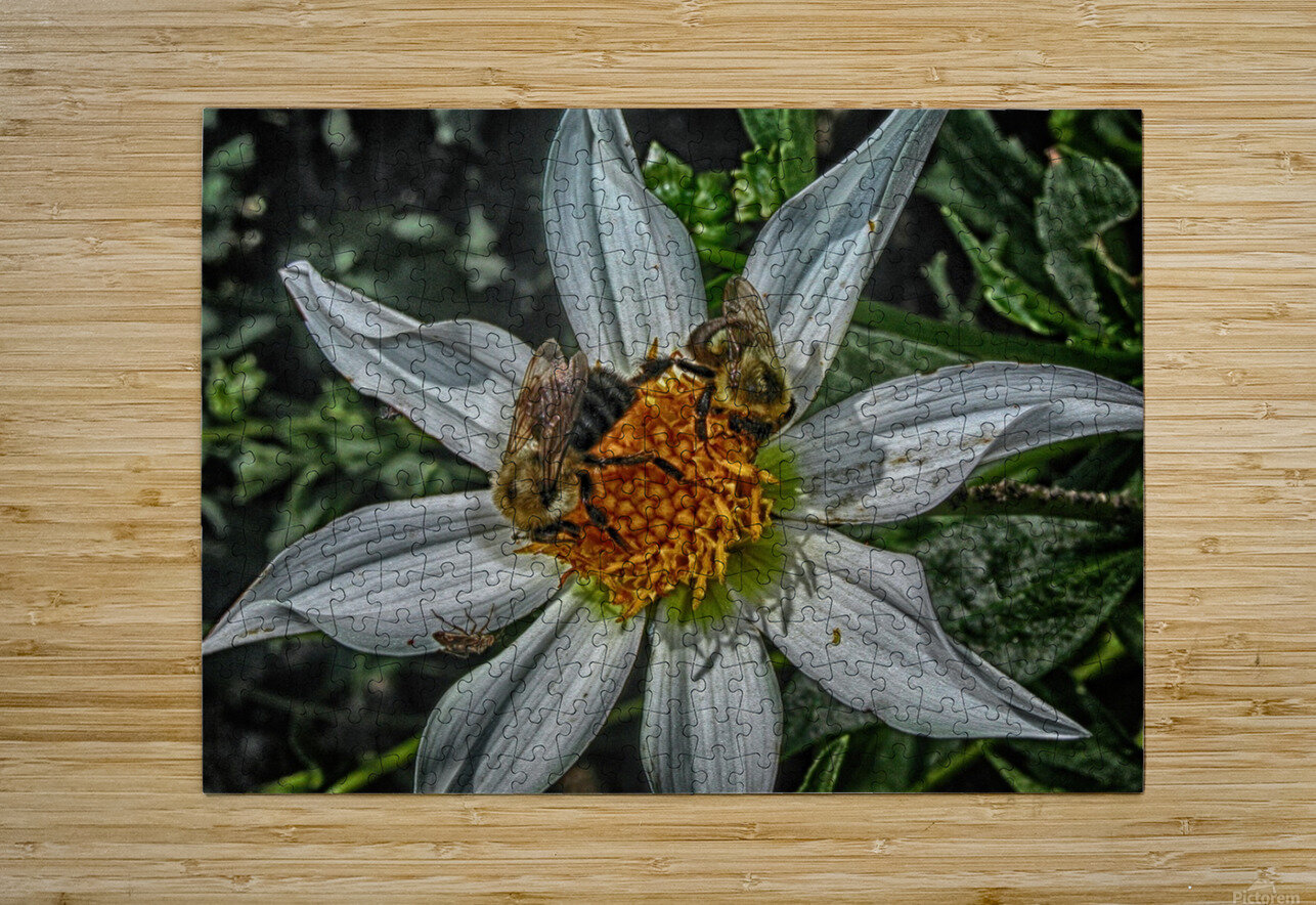 bees Eugene Rosenthal Puzzle printing