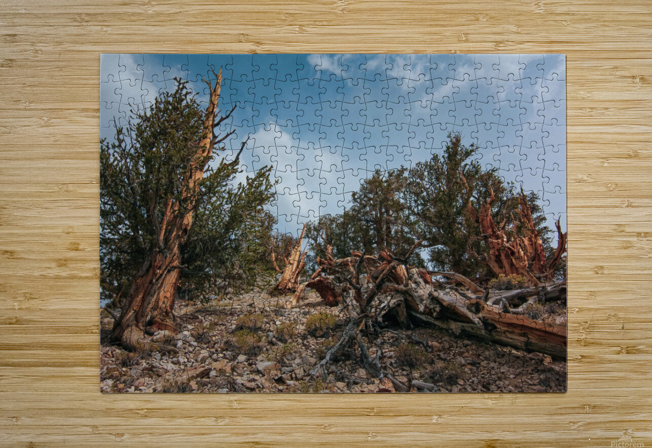 To The Top Nicholas Puzzle printing