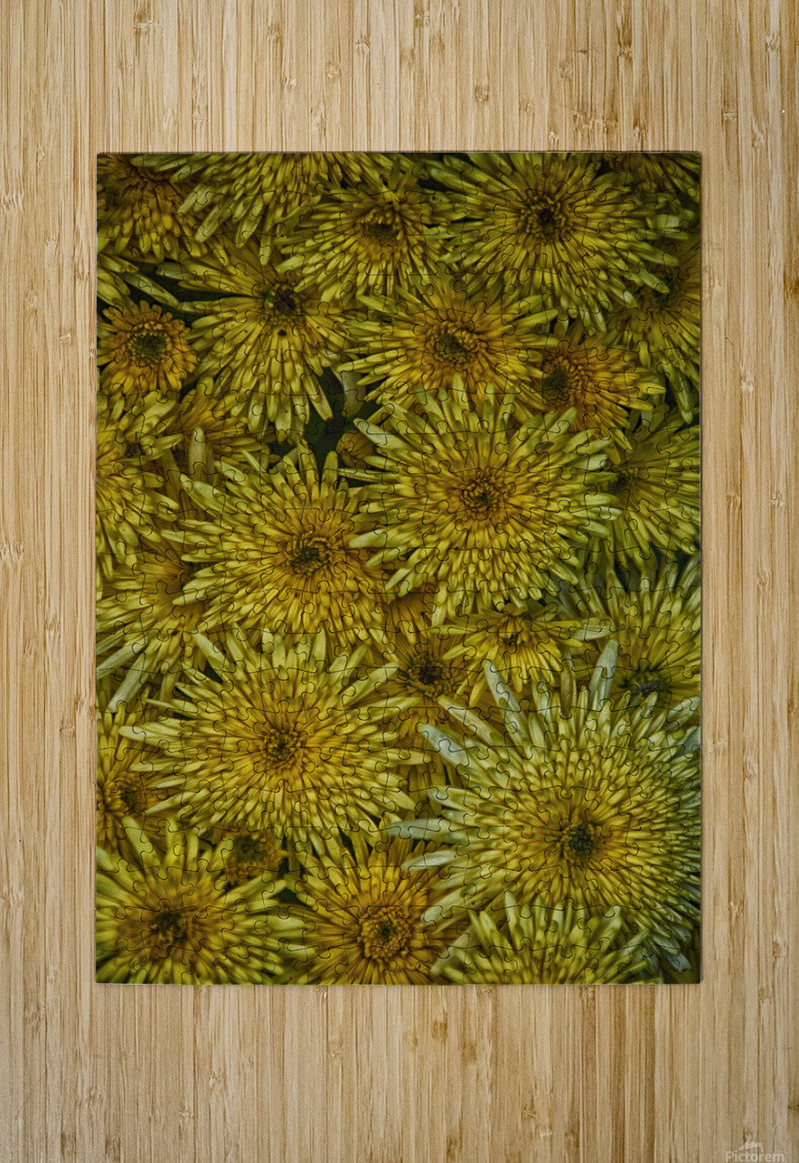 flower 18 Eugene Rosenthal Puzzle printing