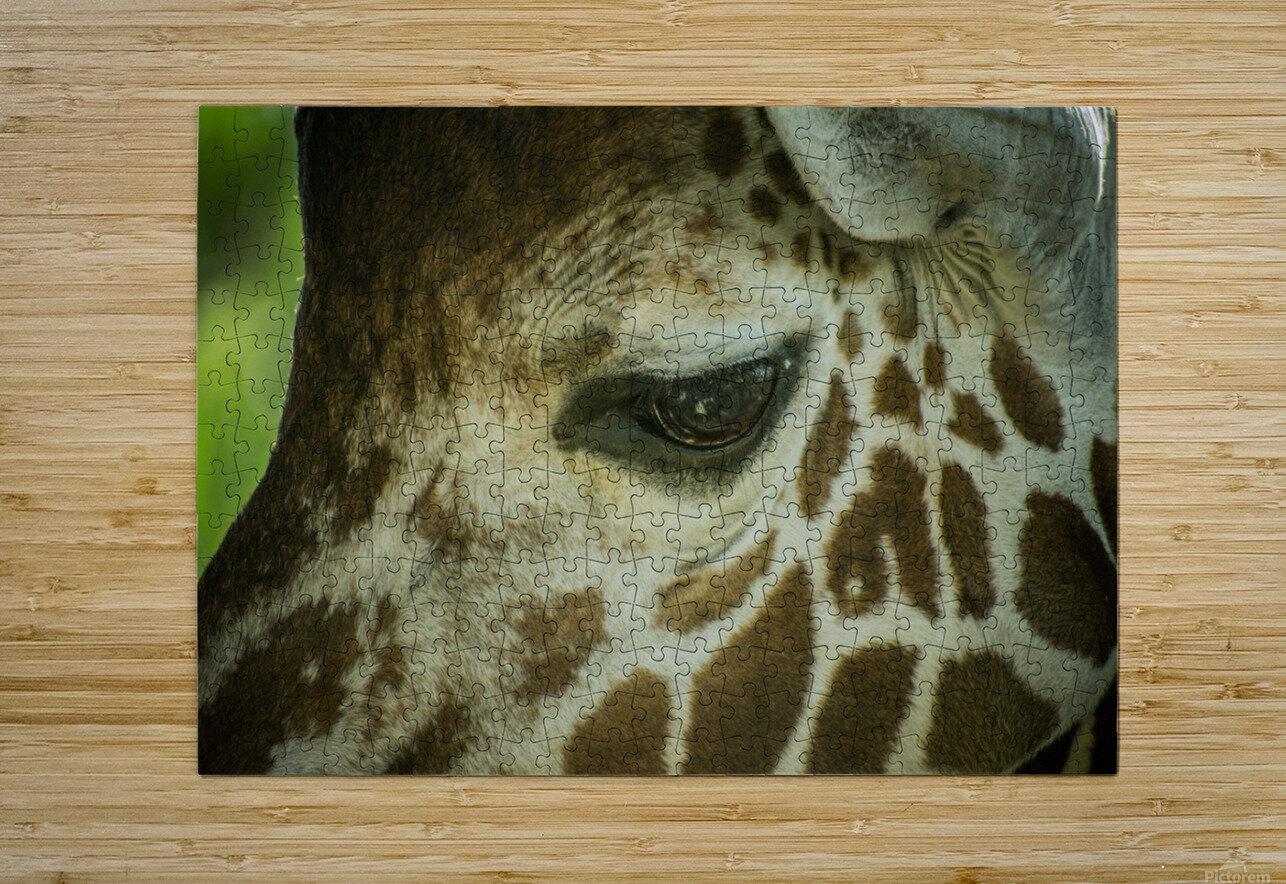 20181104 DSC 0225  3  Jodi Webber Puzzle printing