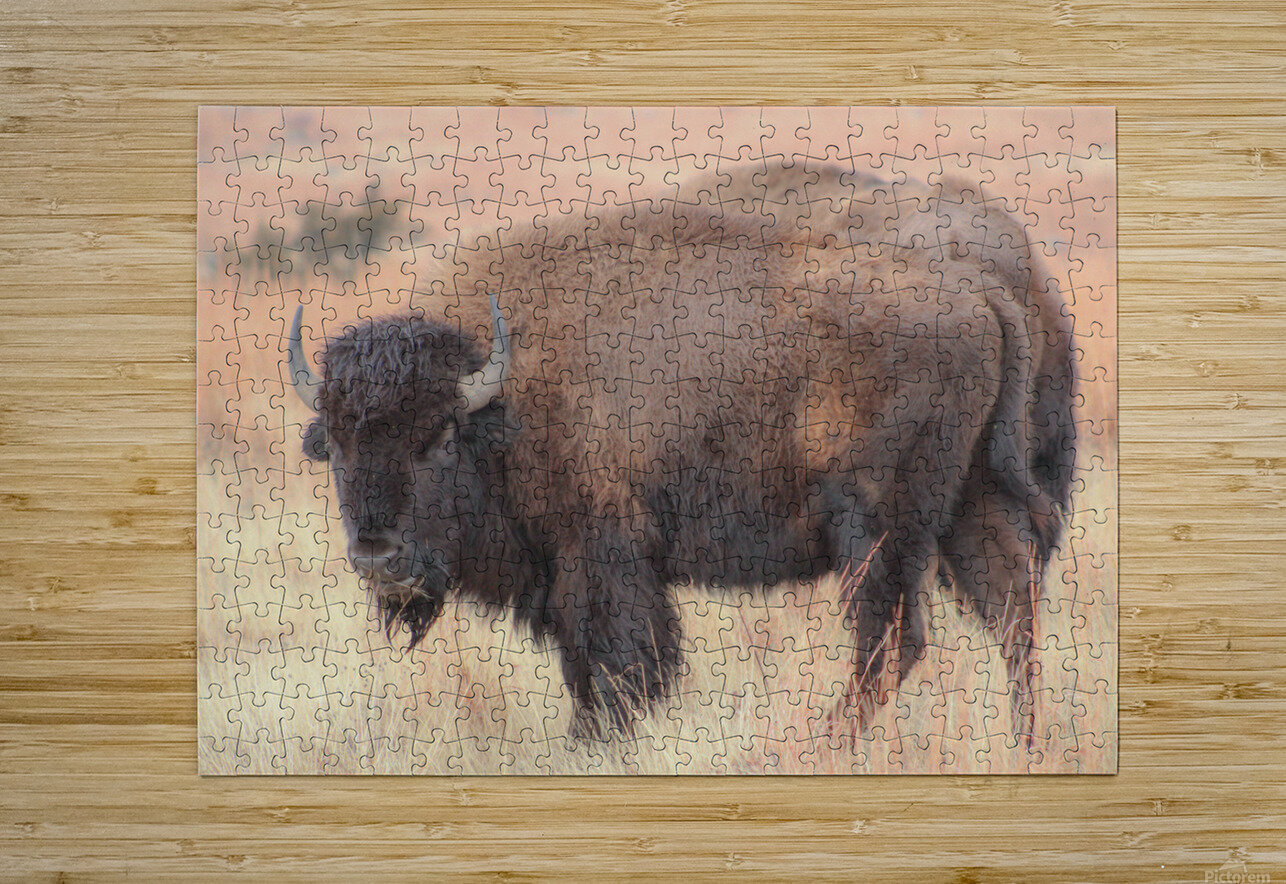 Perfect Eyebrows Susan Diann Photography Puzzle printing