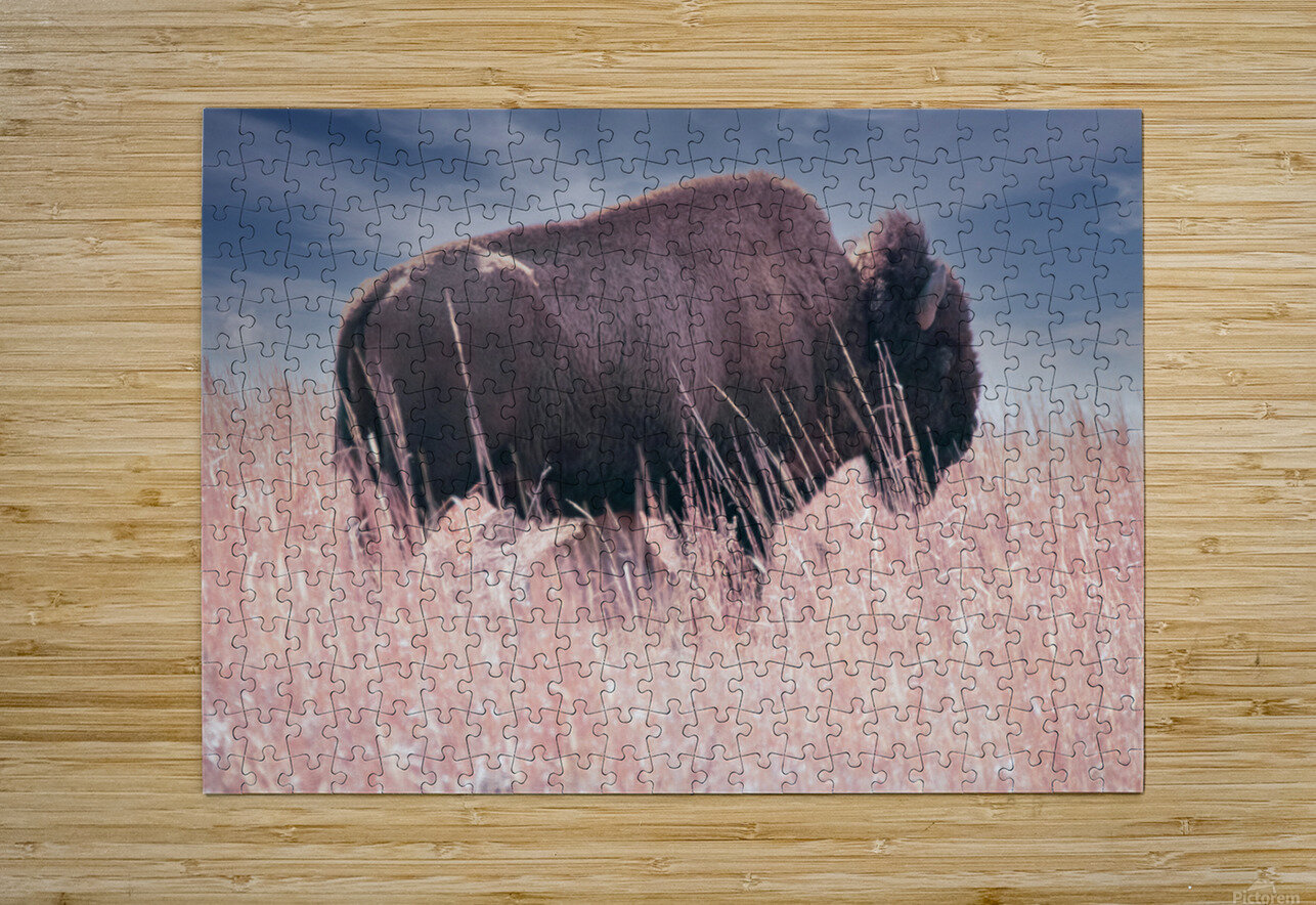 Belly Scratches Susan Diann Photography Impression de puzzle