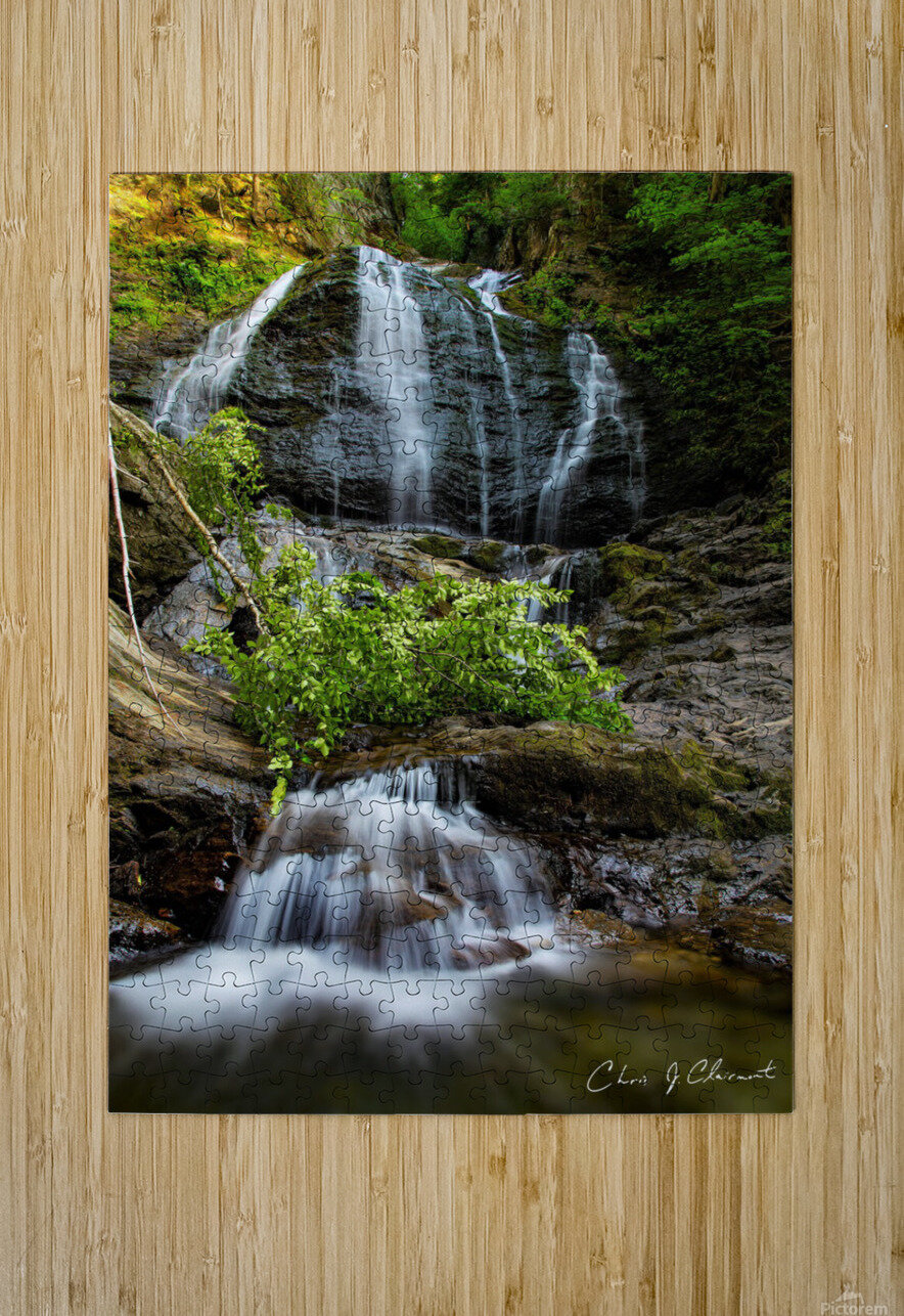 Moss Glen Stowe Vermont Summer  Christian Joseph Clairmont Puzzle printing