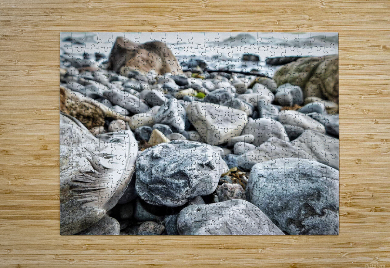 Rocky Shores Mel Green Photography Puzzle printing