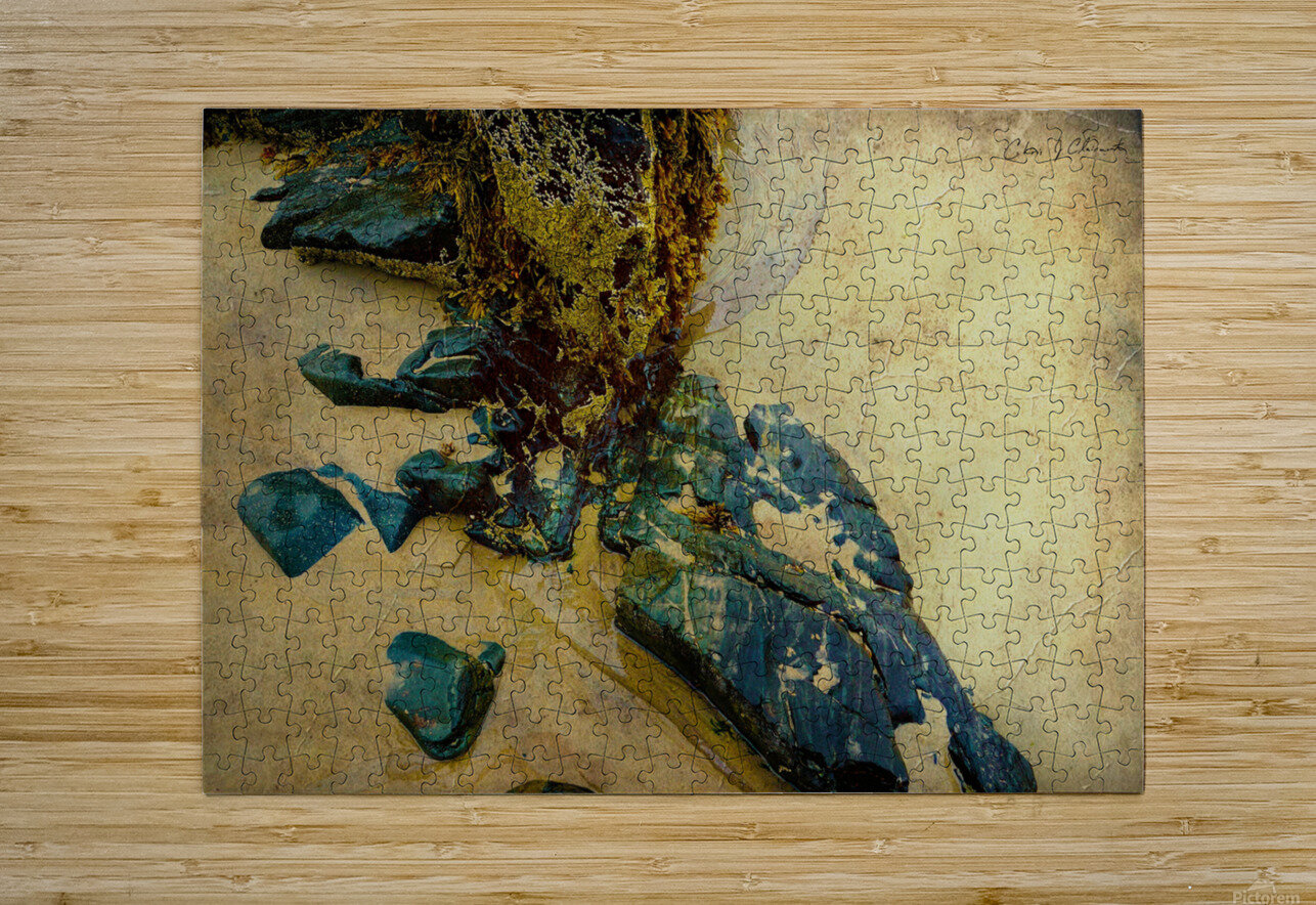  Into the Sand and Sea  Christian Joseph Clairmont Puzzle printing