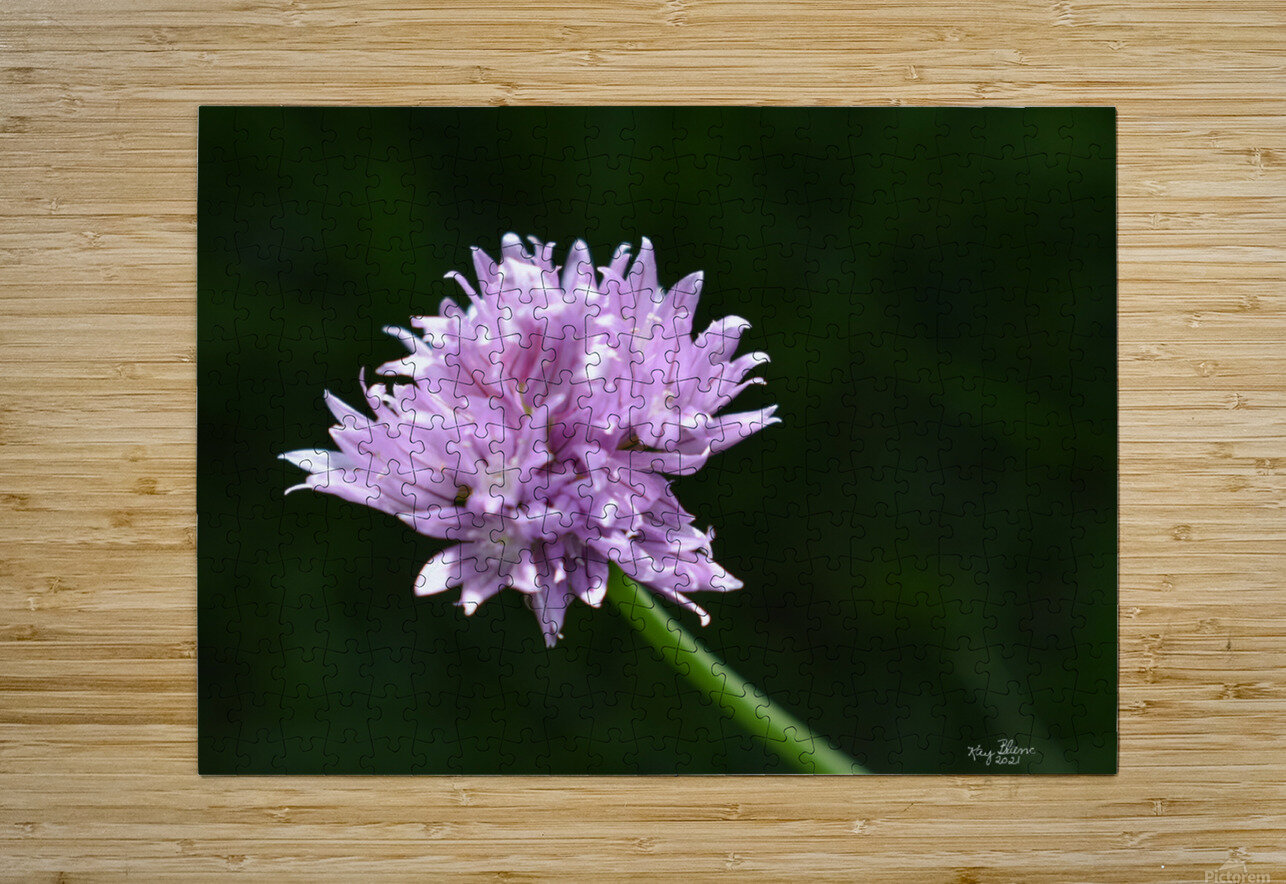 2BC7E26E 33D0 4A16 85B3 9CBF018D417E Carlotta Kay Blanc Puzzle printing