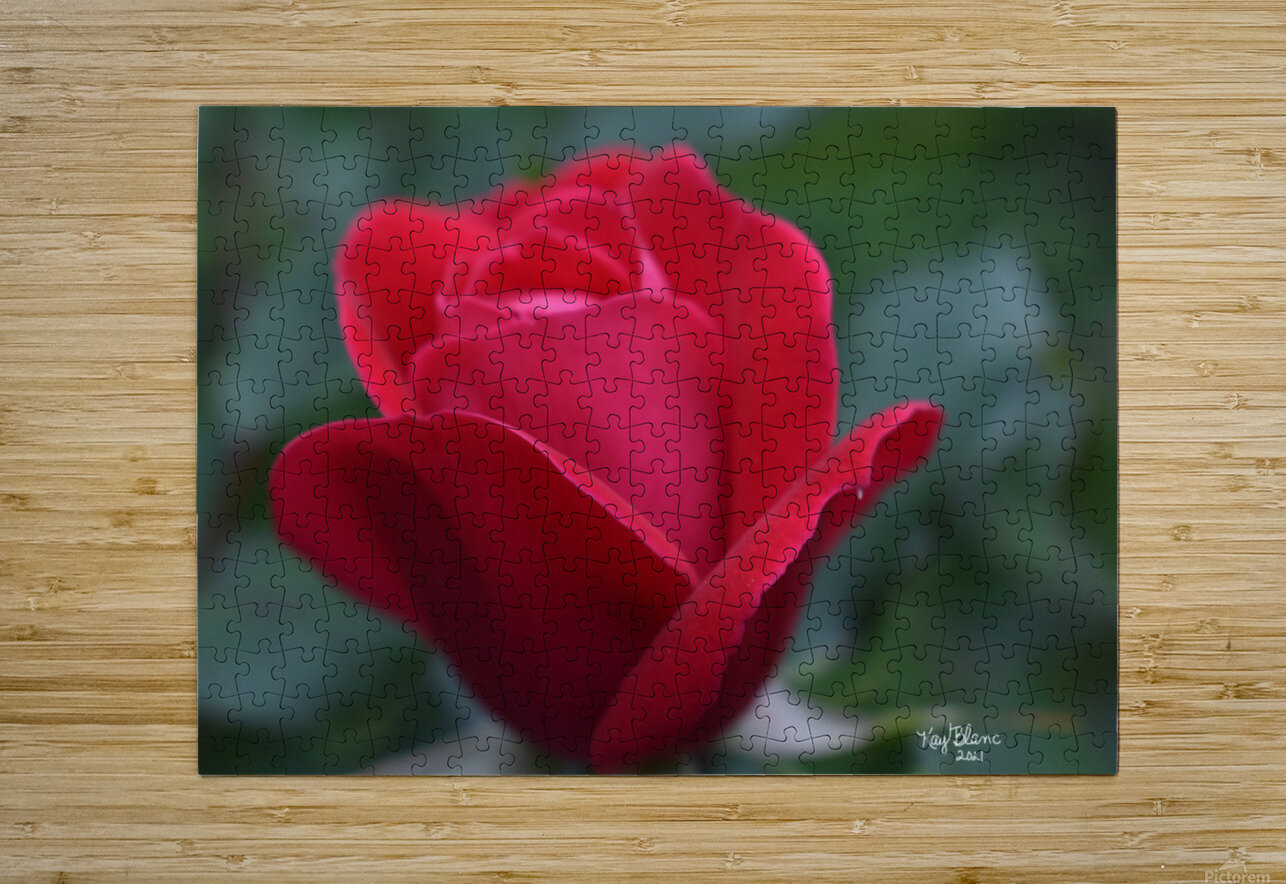 22EA81AB 4C66 4EBB B39D BE8151FCD829 Carlotta Kay Blanc Puzzle printing