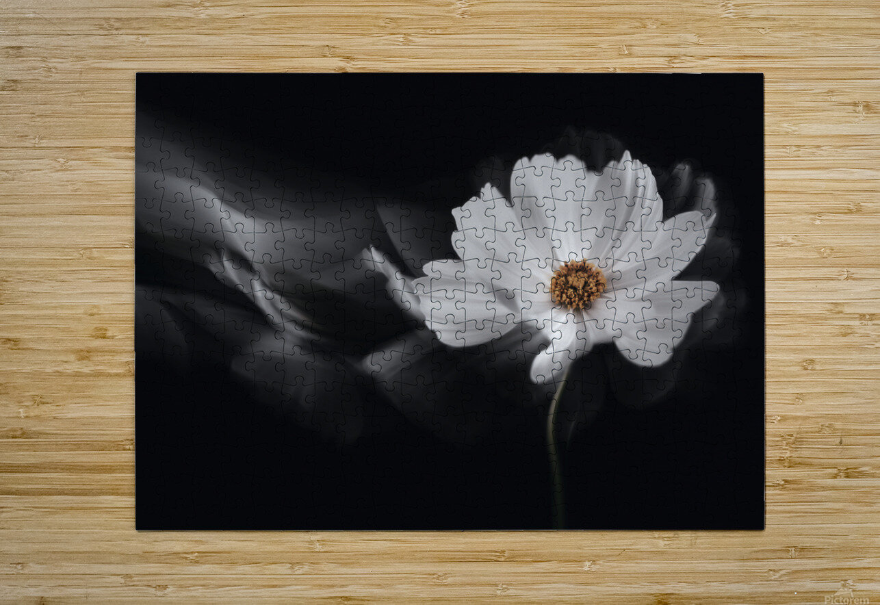 Symphony White 1x Puzzle printing