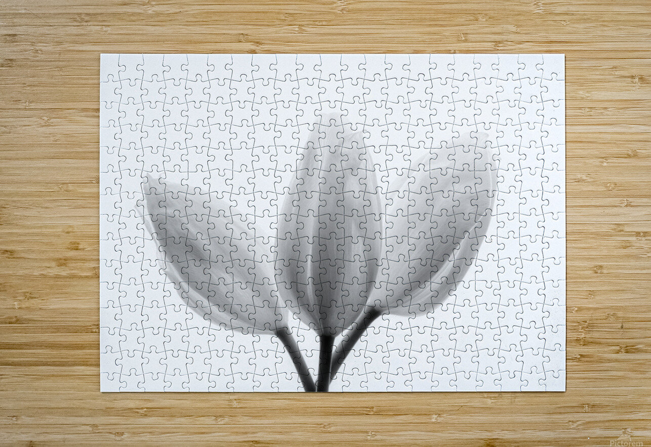 Trinity 1x Puzzle printing