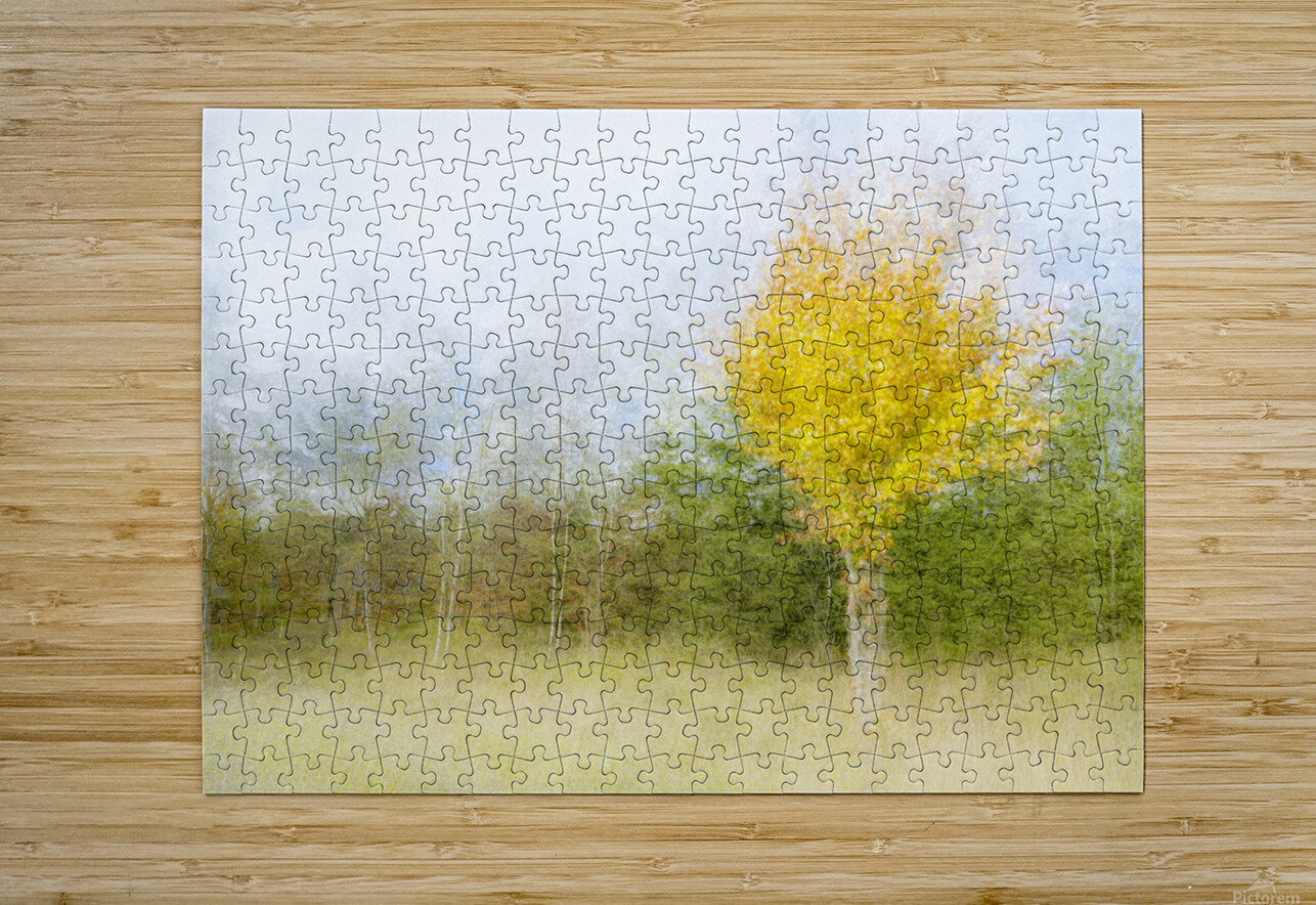 Impressionistic birch 1x Puzzle printing