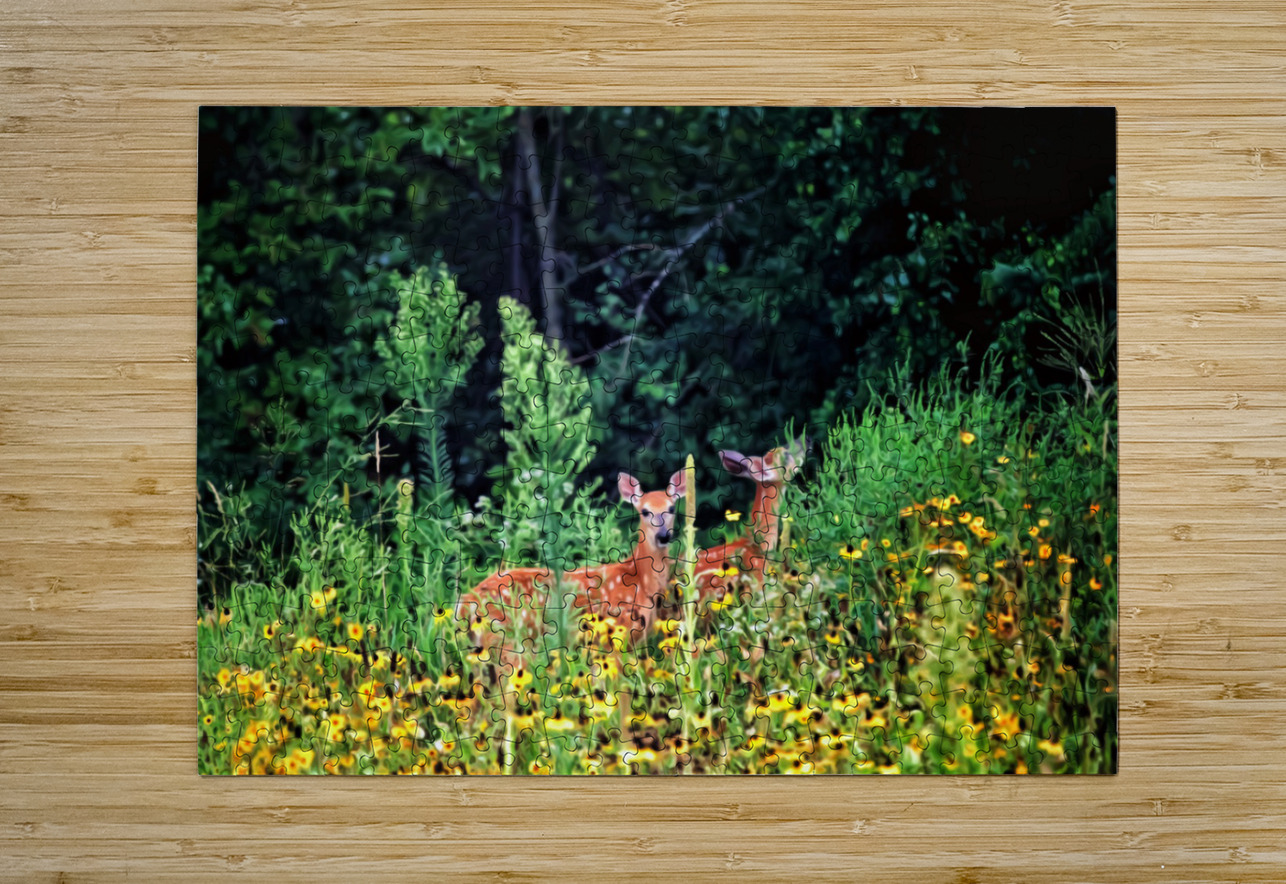 Fawna Flora Mark Overbye Puzzle printing